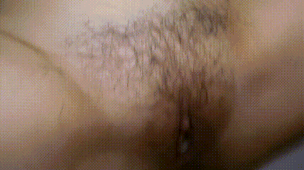 12.gif